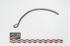 Foto von Bronzesitulae (NHMW-PRAE-024525)